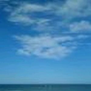 Meet your Posher, Trina